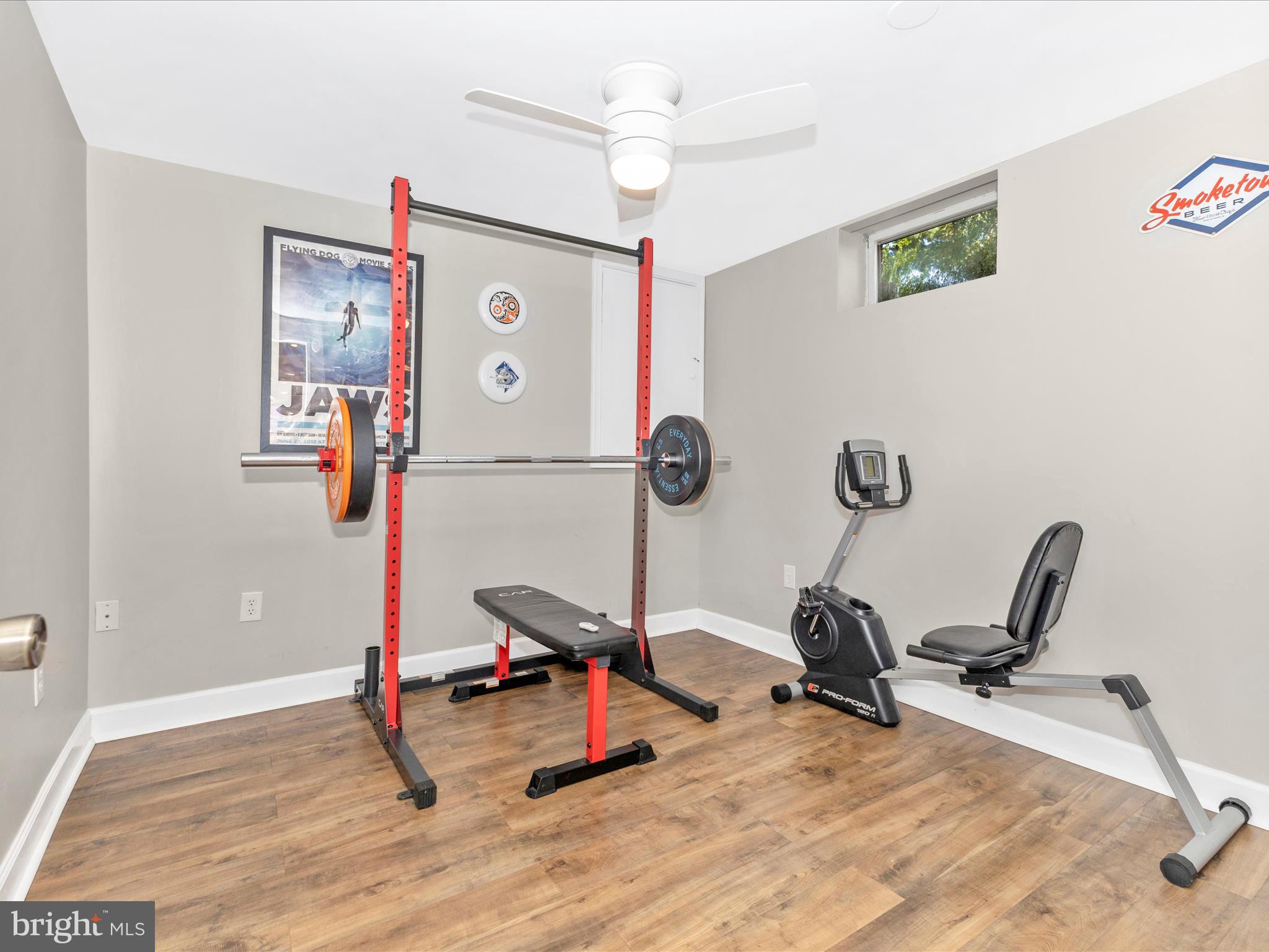 8204 Red Wing Court Frederick, MD 21701 - Photo 35 of 72 Lower Level