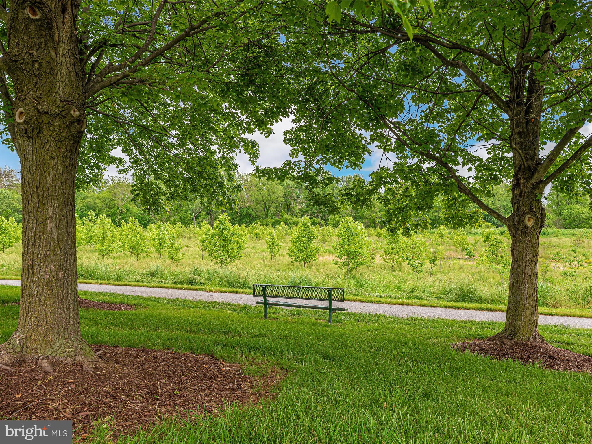 8204 Red Wing Court Frederick, MD 21701 - Photo 60 of 72 a view of a field with large trees