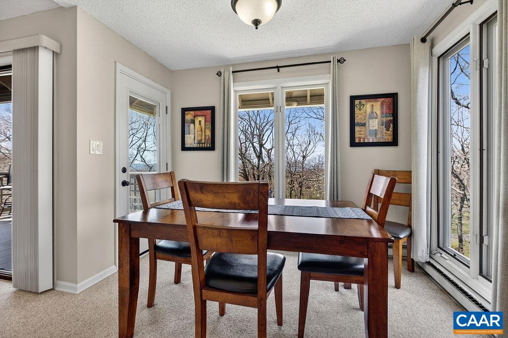 2063 Stone Ridge Roseland, VA 22967 - Photo 13 of 32