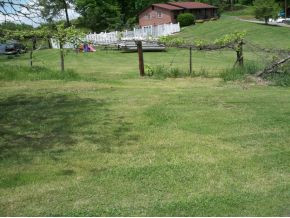 Lot 1 Cleveland Road Gray, TN 37615 - Photo 1 of 3 Photo 1