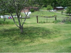 Lot 1 Cleveland Road Gray, TN 37615 - Photo 3 of 3 Photo 3