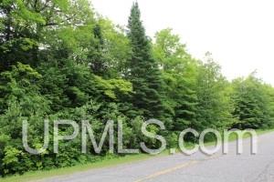 469 North Carlshend Road Skandia, MI 49885 - Photo 4 of 18