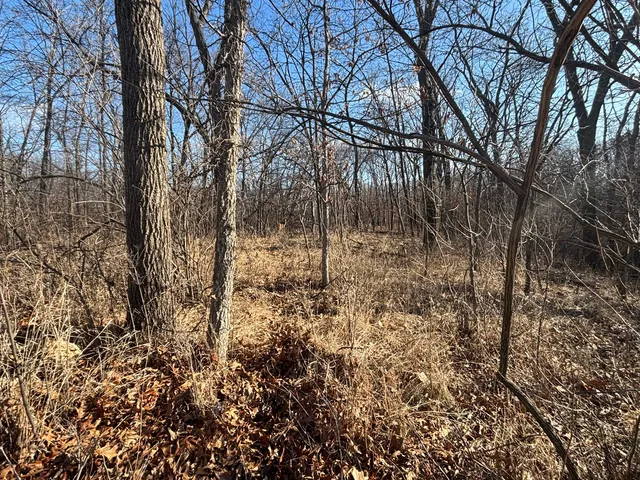 $5,000 | 516 Brandywine Circle, Varna, IL 61375