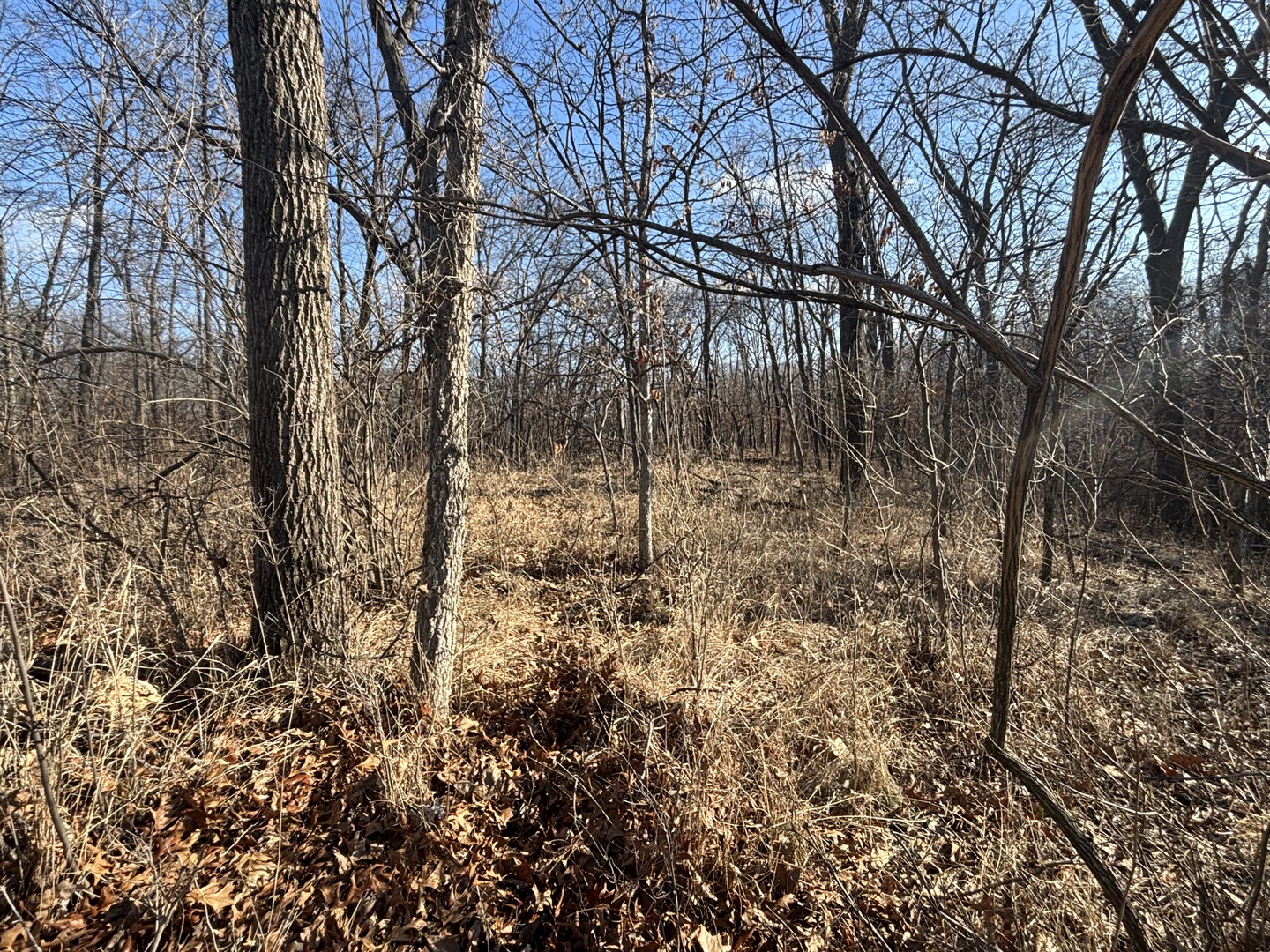 516 Brandywine Circle Varna, IL 61375 - Photo 3 of 5