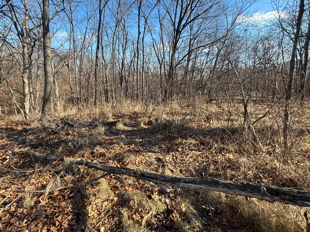 $5,000 | 516 Brandywine Circle, Varna, IL 61375