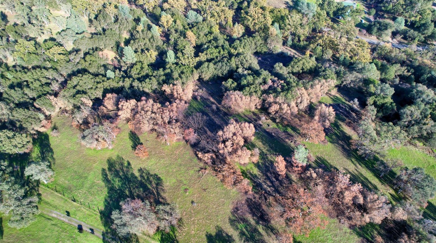 0 Hirsch Road Mariposa, CA 95338 - Photo 11 of 22 Gallery Image 11