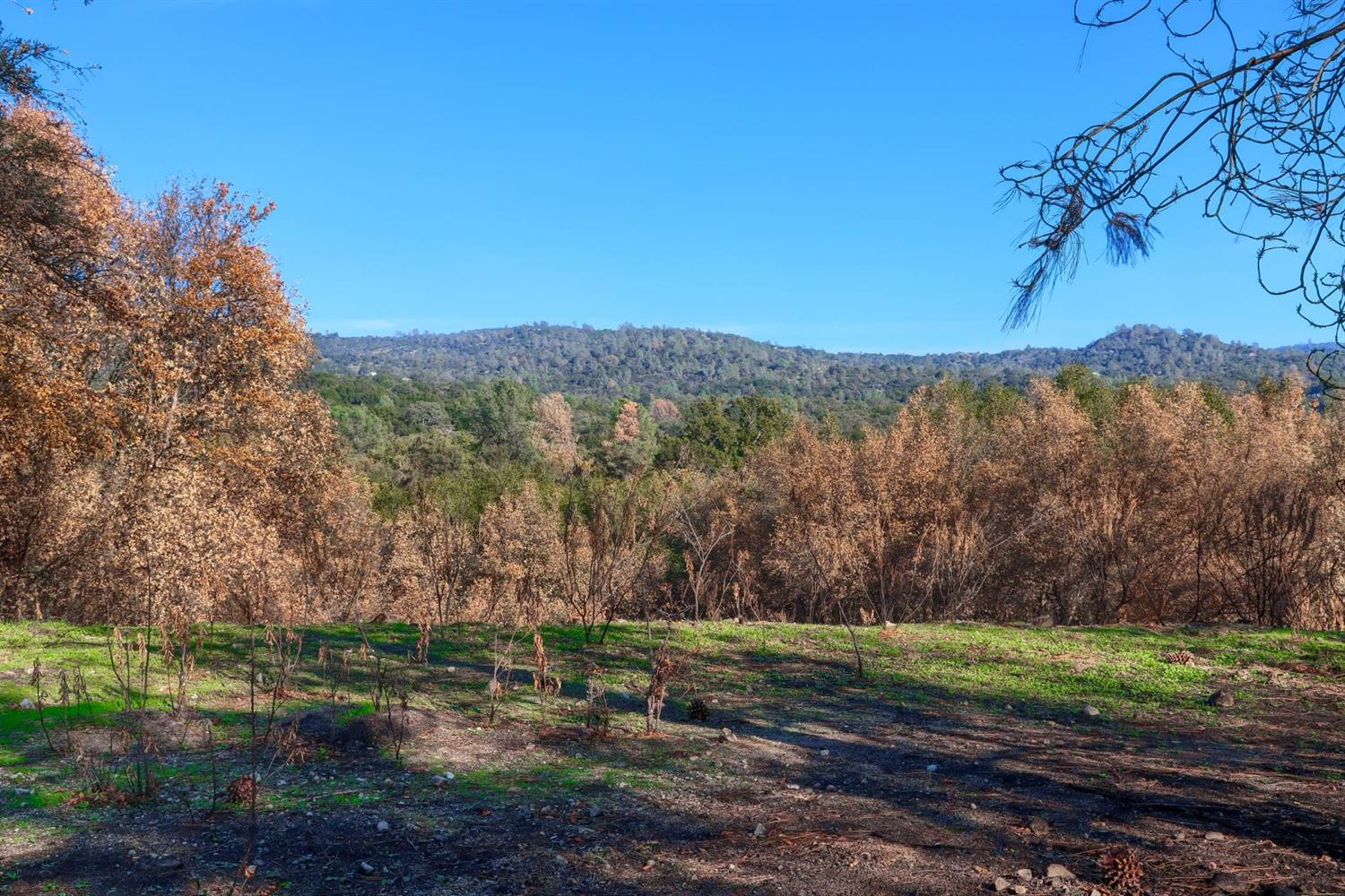 0 Hirsch Road Mariposa, CA 95338 - Photo 14 of 22 Gallery Image 14