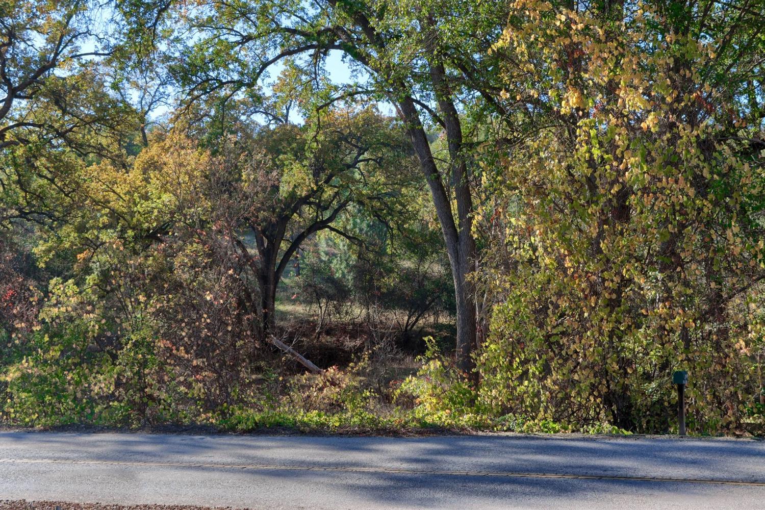 0 Hirsch Road Mariposa, CA 95338 - Photo 4 of 22 Gallery Image 4