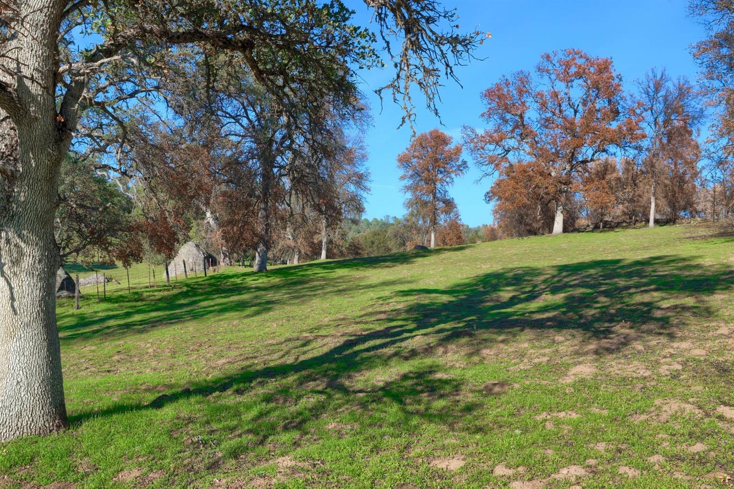 0 Hirsch Road Mariposa, CA 95338 - Photo 5 of 22 Gallery Image 5