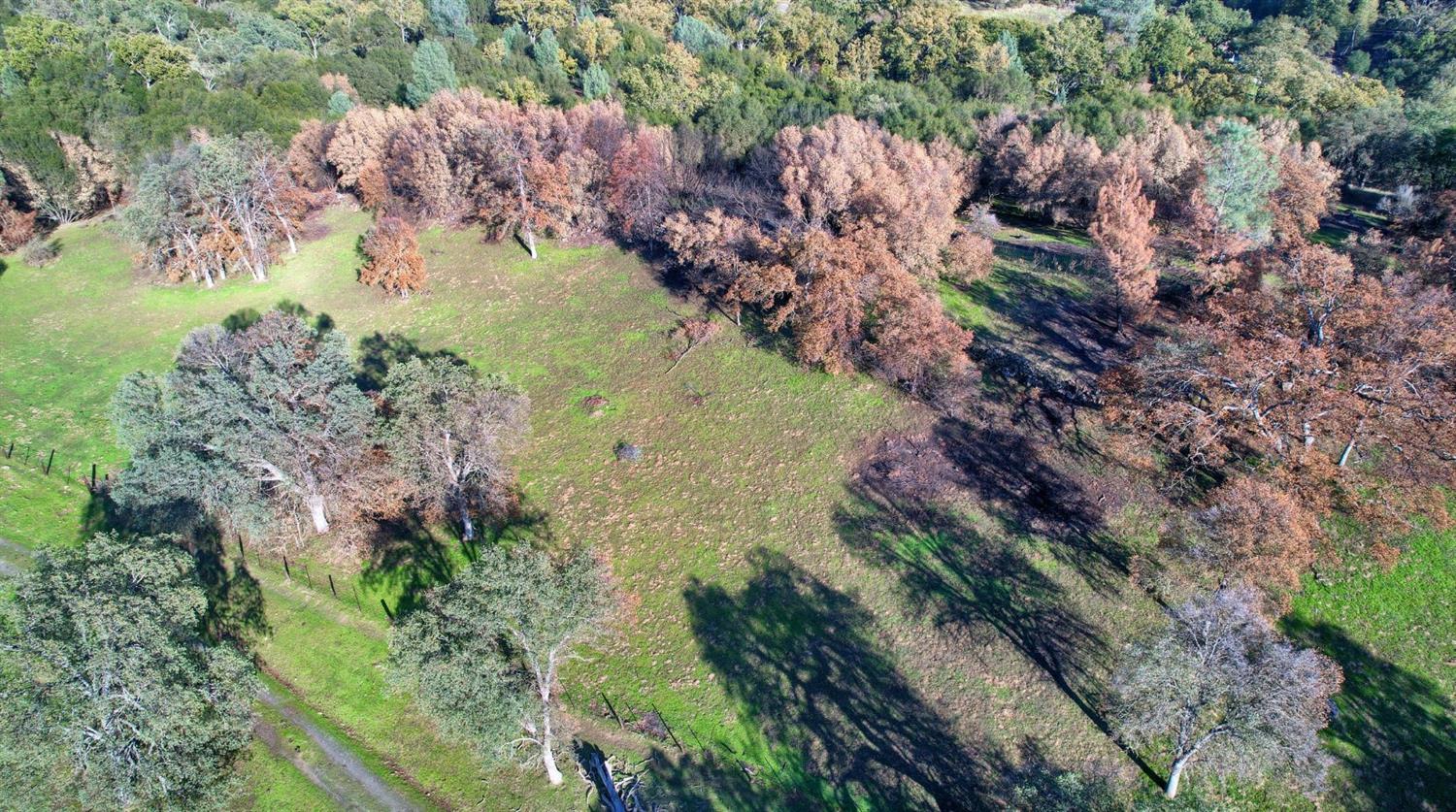 0 Hirsch Road Mariposa, CA 95338 - Photo 8 of 22 Gallery Image 8