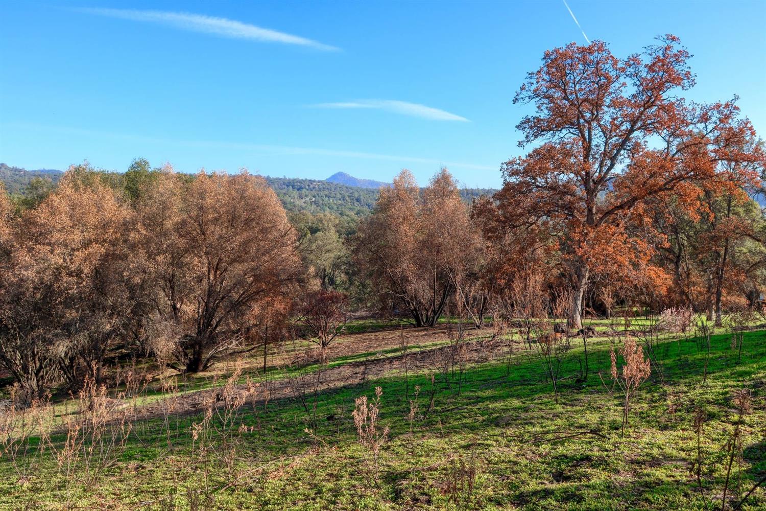 0 Hirsch Road Mariposa, CA 95338 - Photo 9 of 22 Gallery Image 9