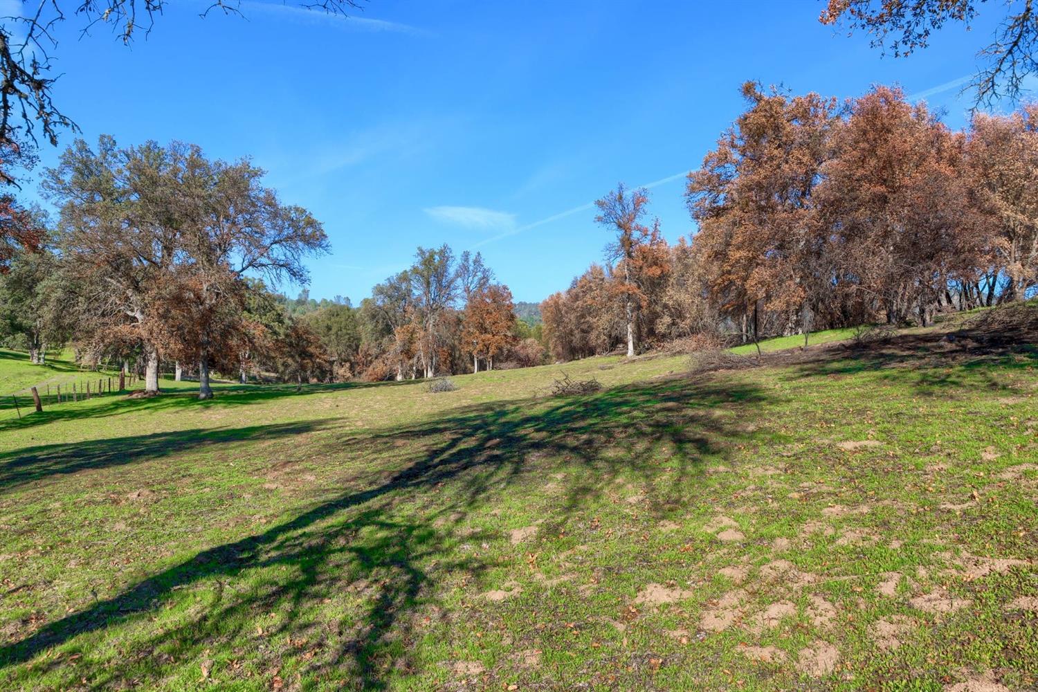 0 Hirsch Road Mariposa, CA 95338 - Photo 10 of 22 Gallery Image 10