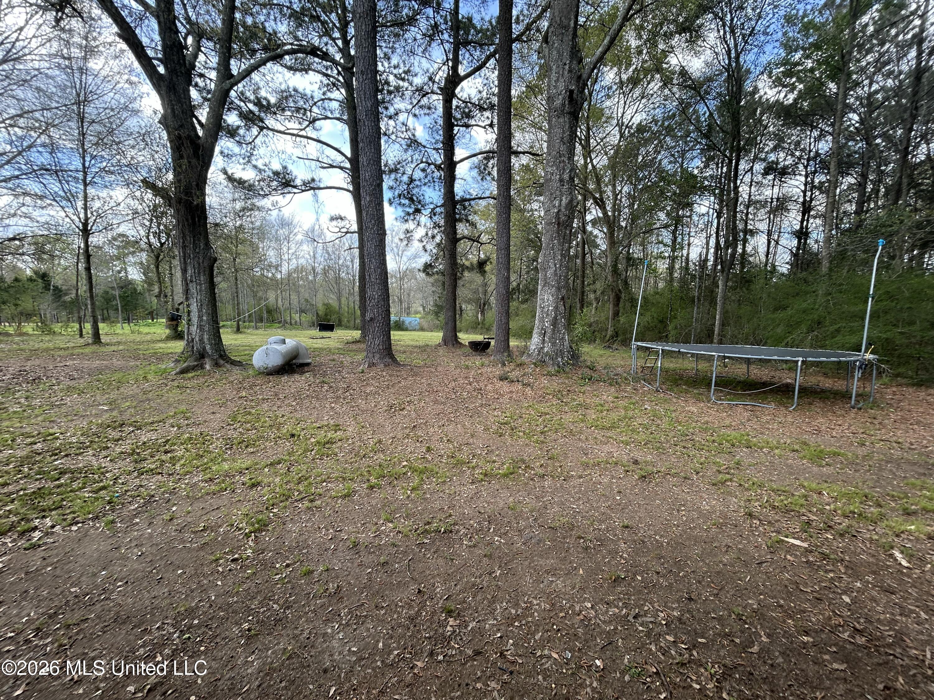 300 Harveytown Road Tylertown, MS 39667 - Photo 26 of 32 IMG_3718