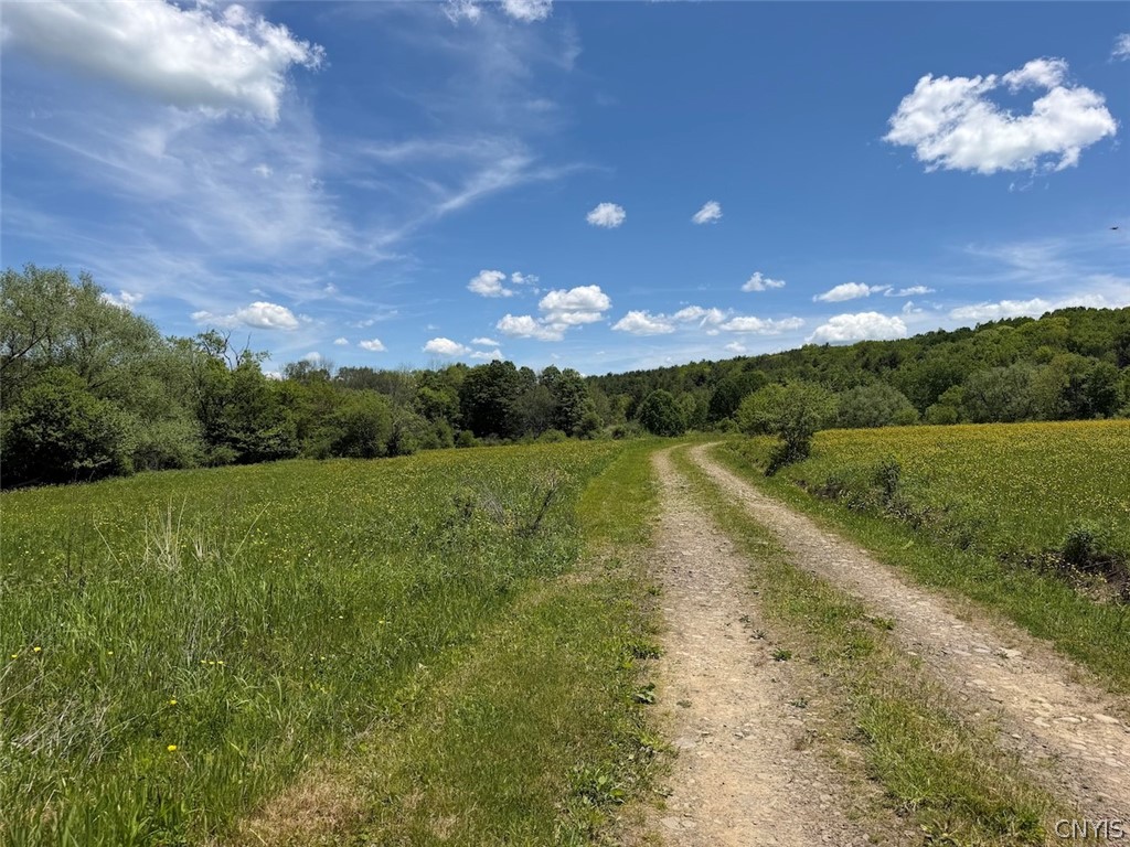 North Branch Road Friendship, NY 14739 - Photo 16 of 27