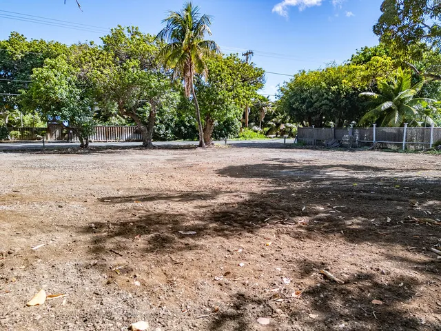 a view of a yard with plants and wooden fence