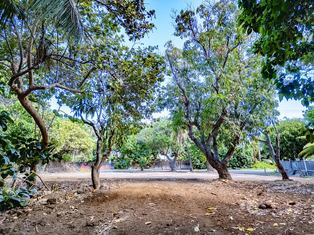 a backyard of a house with lots of green space