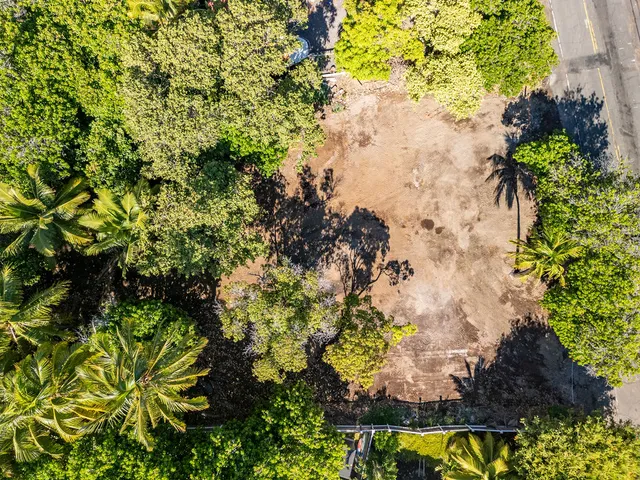 a view of dirt yard with a large tree
