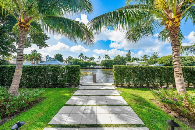 a view of a yard with a palm trees