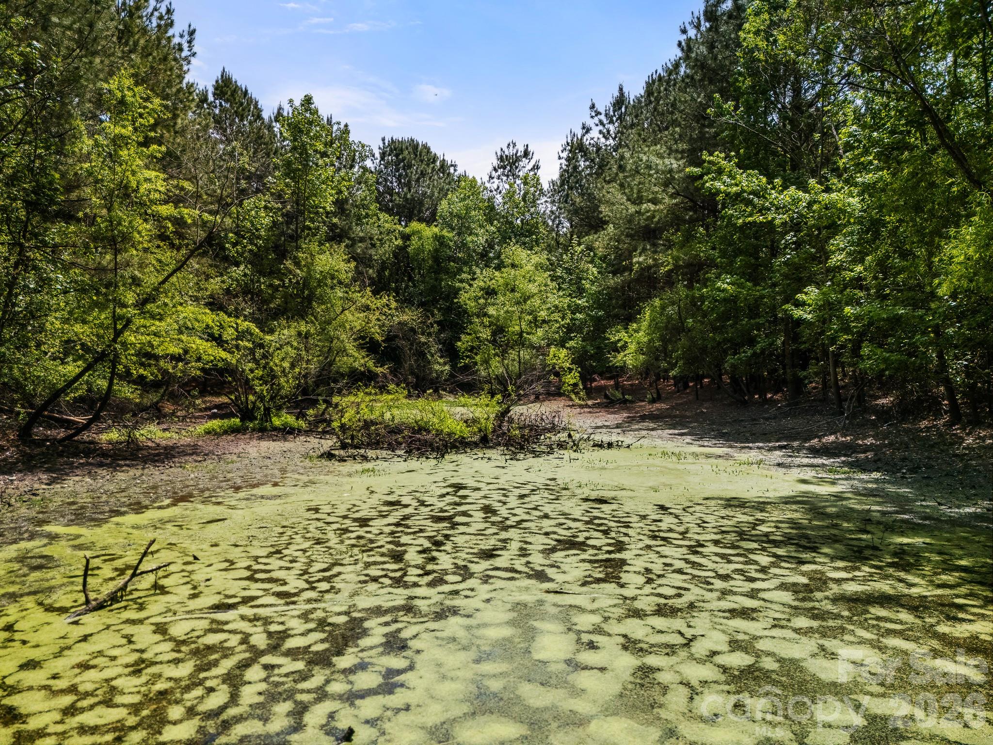 5129 State Road 51 Edgemoor, SC 29712 - Photo 17 of 35