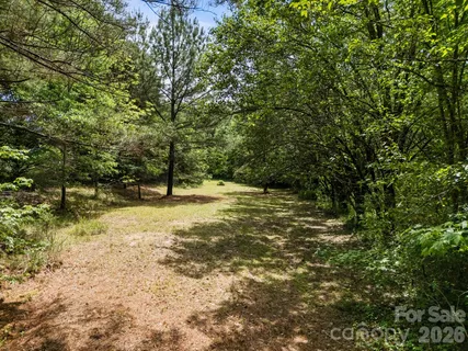 a view of a yard with a tree