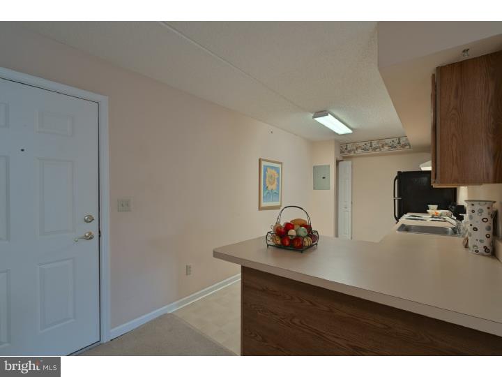 131 Brandon Road Norristown, PA 19403 - Photo 20 of 23 Foyer