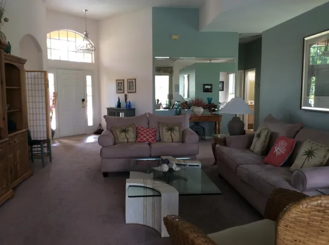 a living room with furniture and a large mirror or potted plant