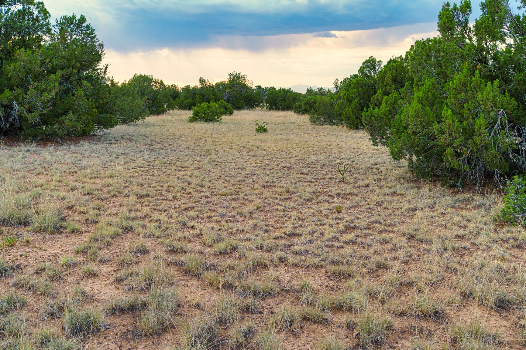 176 Wagon Trail Road Cerrillos, NM 87010 - Photo 4 of 35