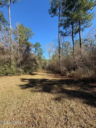 $621,500 | 113 Acres Highway, Columbia, MS 39429