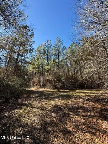 $621,500 | 113 Acres Highway, Columbia, MS 39429