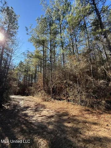 $621,500 | 113 Acres Highway, Columbia, MS 39429