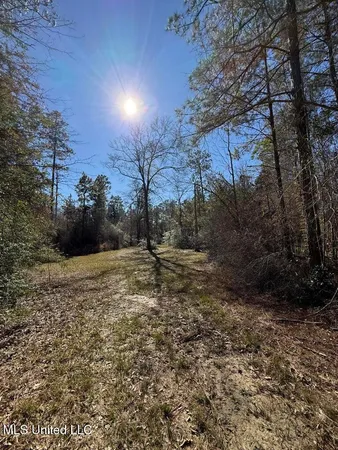 $621,500 | 113 Acres Highway, Columbia, MS 39429