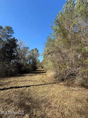 $621,500 | 113 Acres Highway, Columbia, MS 39429