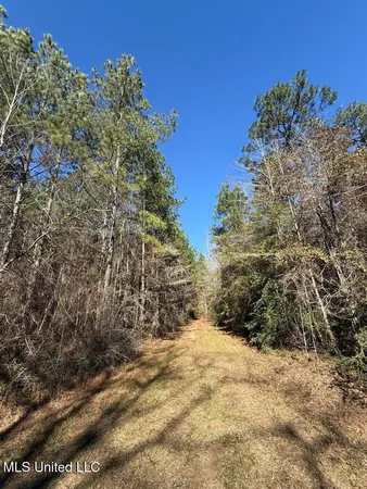 $621,500 | 113 Acres Highway, Columbia, MS 39429