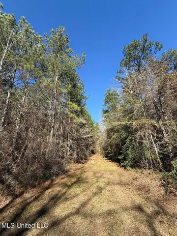 $621,500 | 113 Acres Highway, Columbia, MS 39429