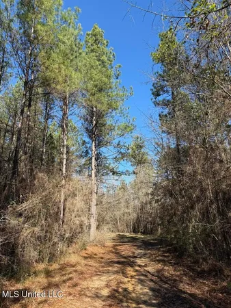 $621,500 | 113 Acres Highway, Columbia, MS 39429