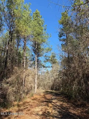 $621,500 | 113 Acres Highway, Columbia, MS 39429