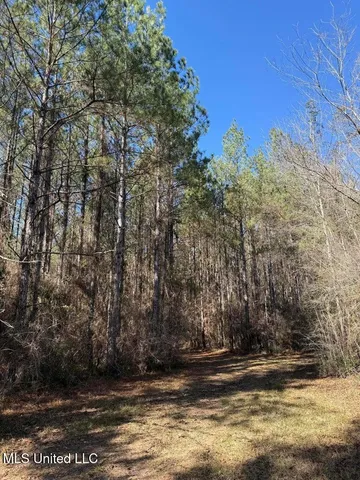 $621,500 | 113 Acres Highway, Columbia, MS 39429