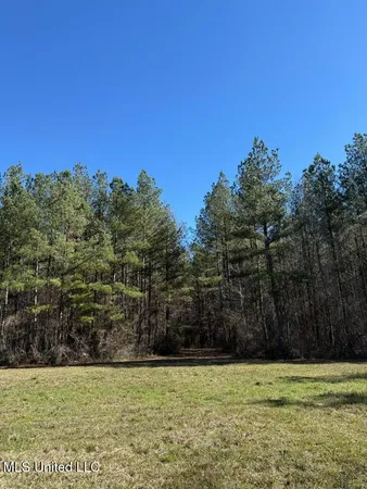 $621,500 | 113 Acres Highway, Columbia, MS 39429