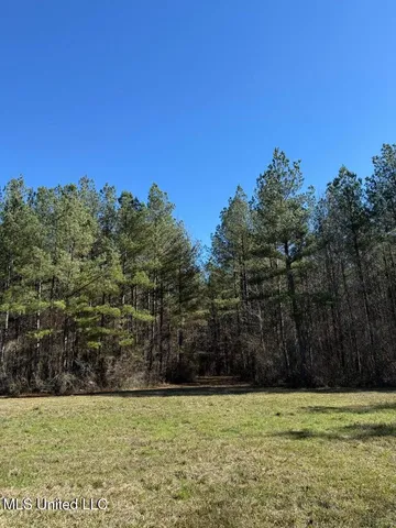 $621,500 | 113 Acres Highway, Columbia, MS 39429