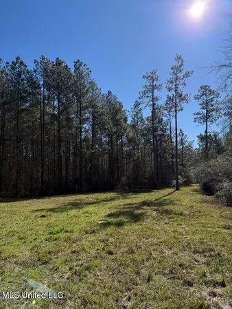 $621,500 | 113 Acres Highway, Columbia, MS 39429