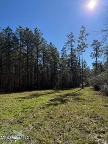 $621,500 | 113 Acres Highway, Columbia, MS 39429