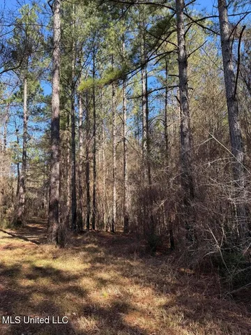 $621,500 | 113 Acres Highway, Columbia, MS 39429