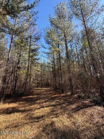 $621,500 | 113 Acres Highway, Columbia, MS 39429