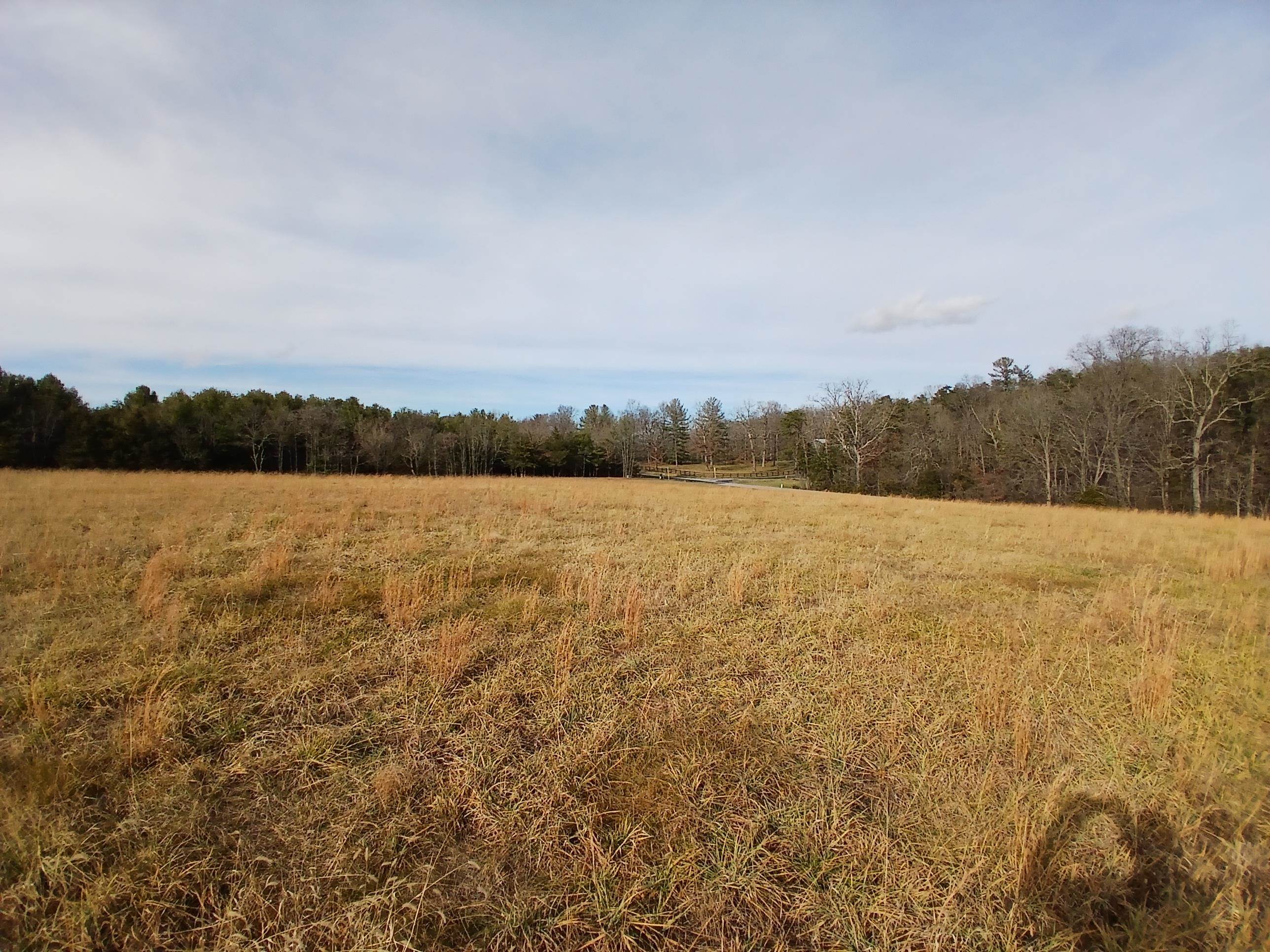 Tbd Niswander Road Staunton, VA 24401 - Photo 5 of 10 a view of lake view and mountain view