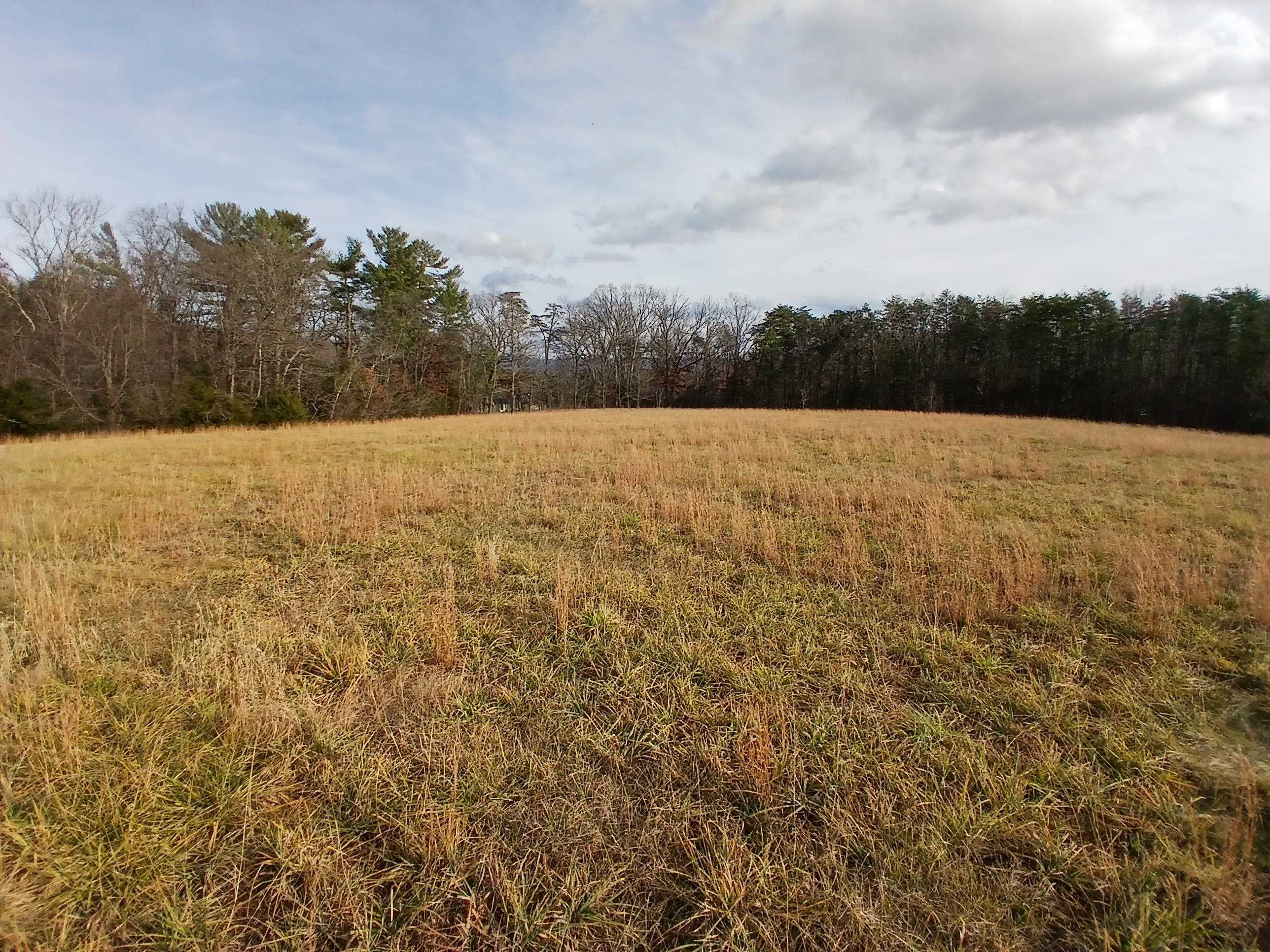Tbd Niswander Road Staunton, VA 24401 - Photo 6 of 10 a view of an ocean