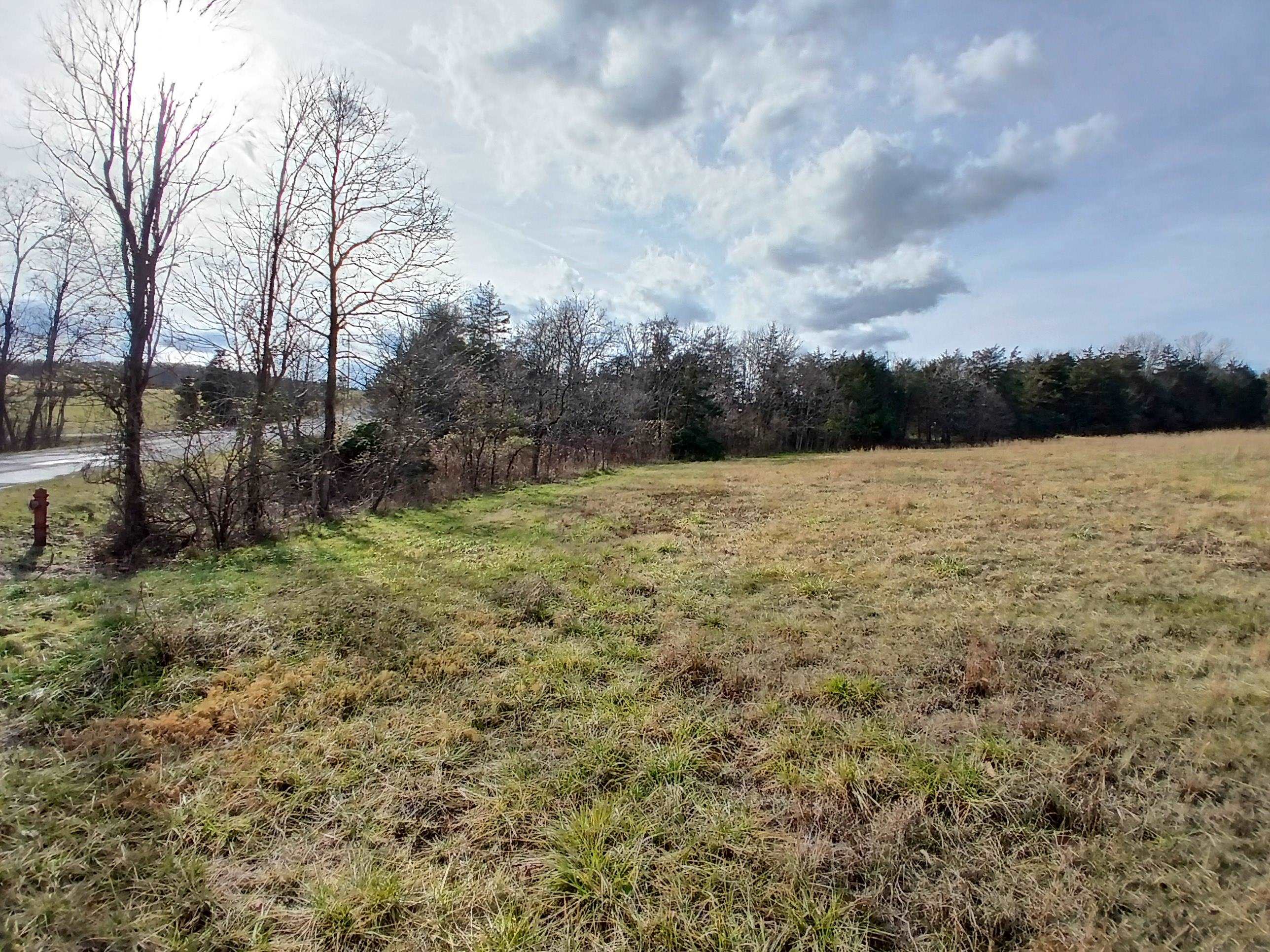 Tbd Niswander Road Staunton, VA 24401 - Photo 9 of 10 a view of a field with an trees