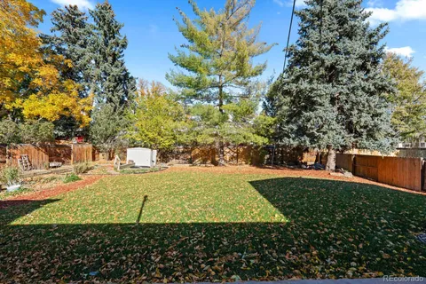 a view of a yard with plants and large trees