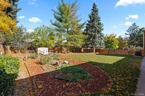 a view of a park with large trees