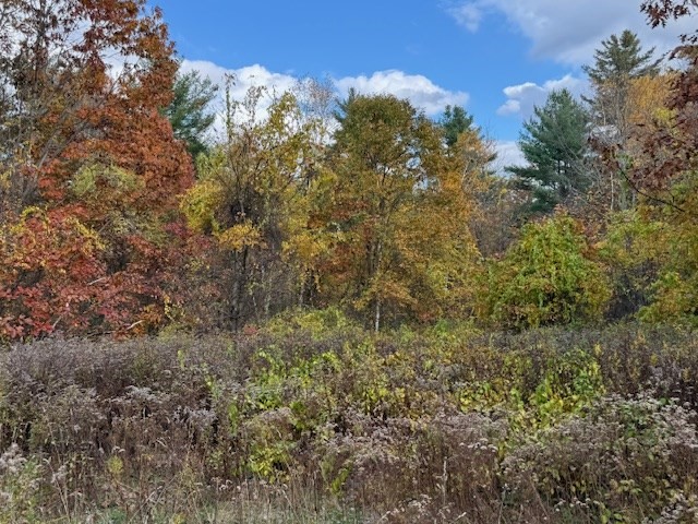 151 Wilker Road Ashburnham, MA 01430 - Photo 5 of 9