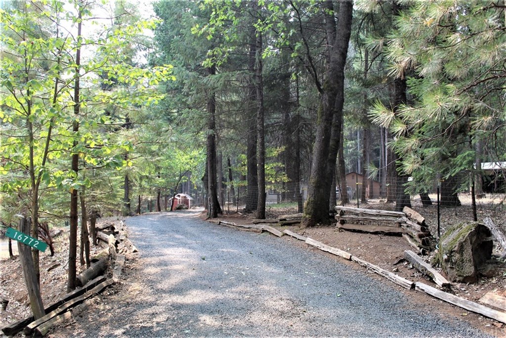 16772 Homeplace Loop Forest Ranch, CA 95942 - Photo 1 of 52 Gallery Image 1